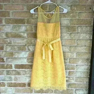 Motherhood Maternity Dress